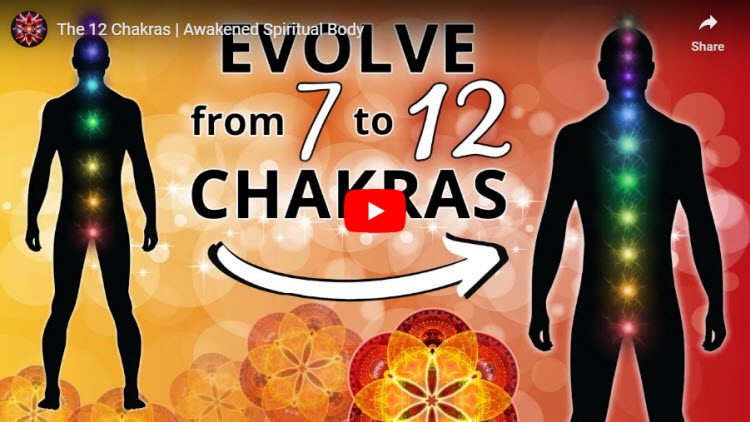 The 12 Chakras Awakened Spiritual Body